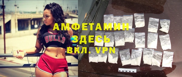ГАЛЛЮЦИНОГЕННЫЕ ГРИБЫ Бородино