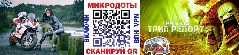 Псилоцибиновые грибы GOLDEN TEACHER  мега tor  Истра 